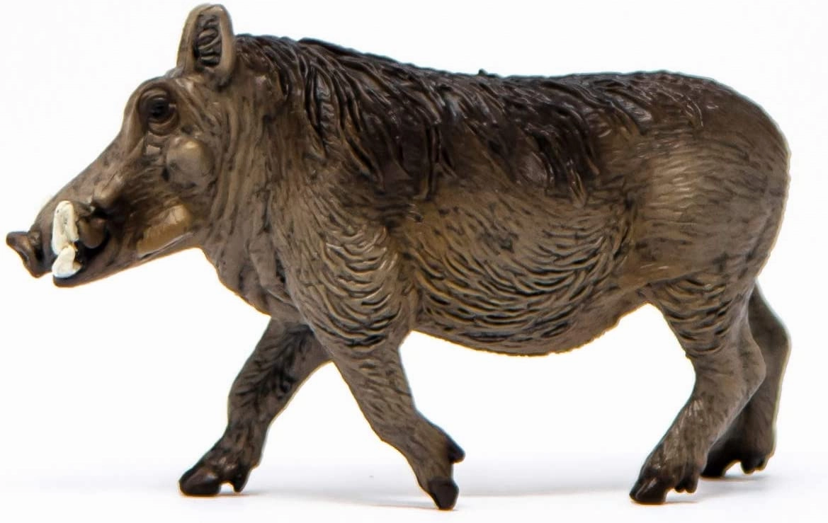 Schleich Toys Schleich 14843 Wild Life Warthog