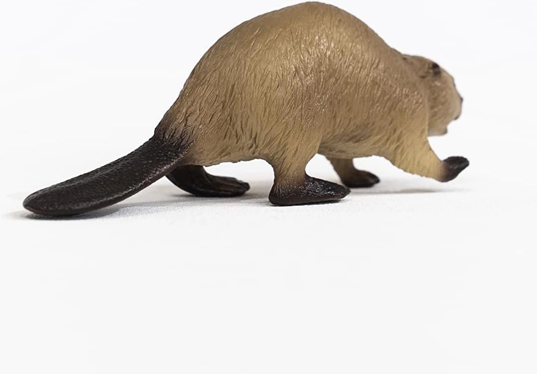 Schleich Toys Schleich 14855 Beaver Figurine - Realistic Wildlife Animal Toy for Kids, 10 x 3 x 3 cm