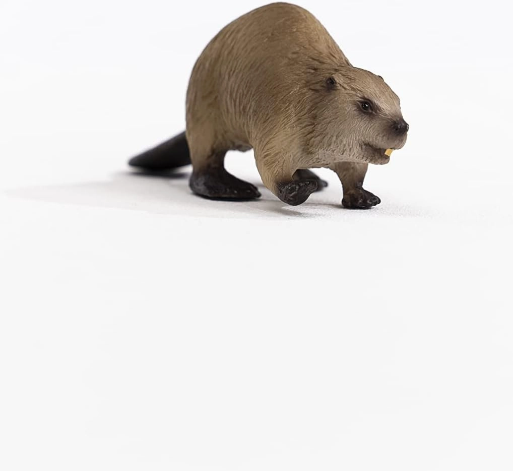 Schleich Toys Schleich 14855 Beaver Figurine - Realistic Wildlife Animal Toy for Kids, 10 x 3 x 3 cm