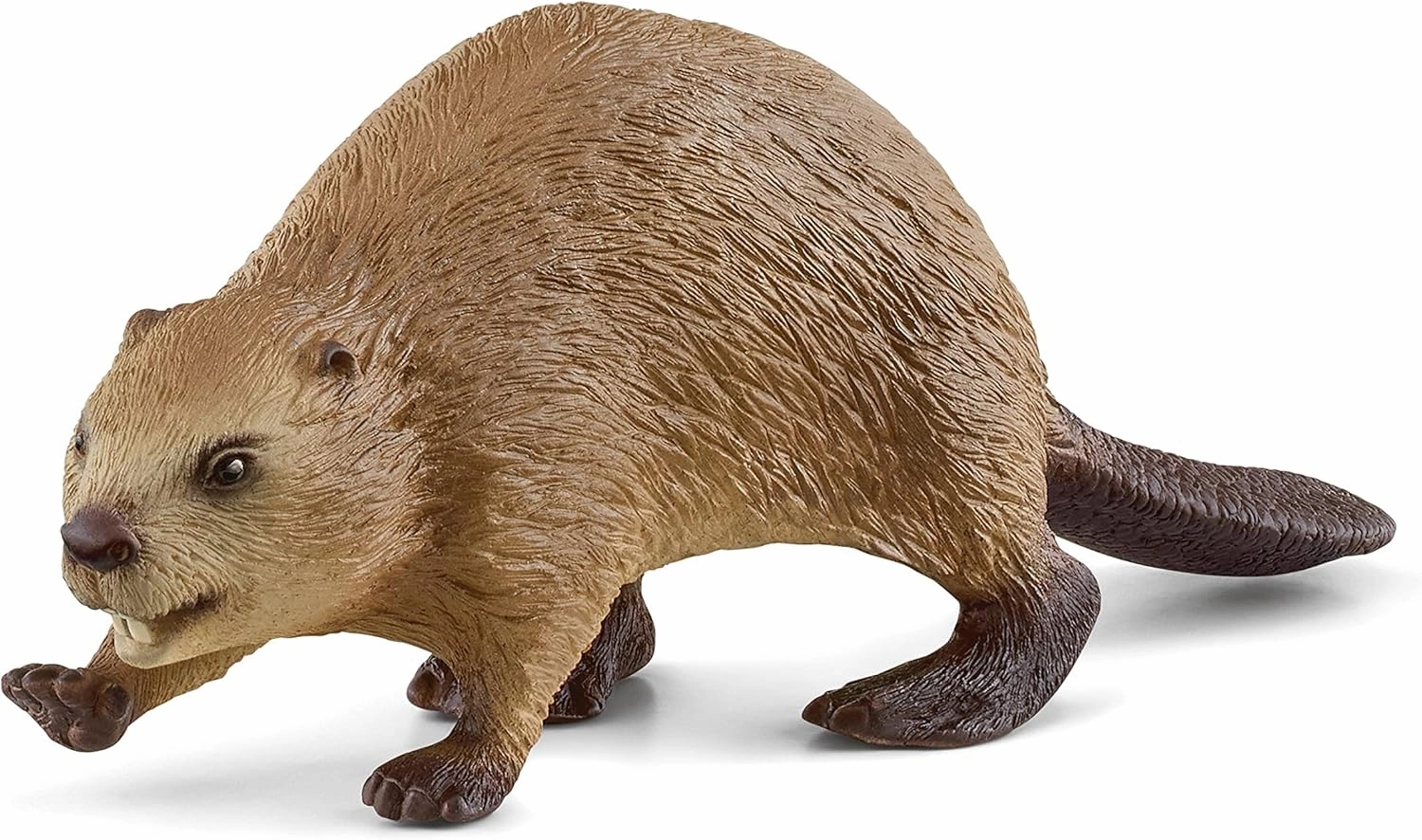 Schleich Toys Schleich 14855 Beaver Figurine - Realistic Wildlife Animal Toy for Kids, 10 x 3 x 3 cm