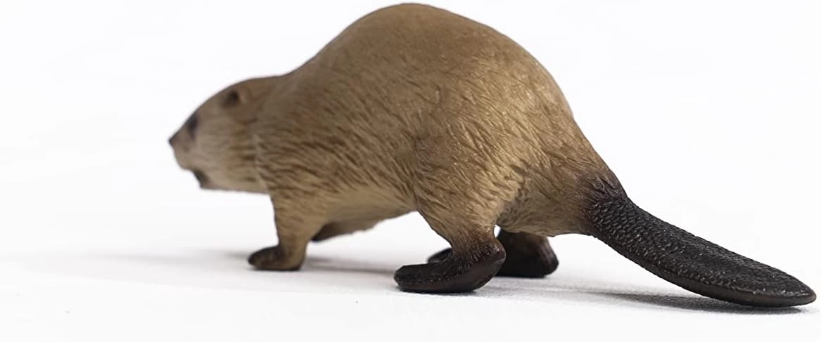 Schleich Toys Schleich 14855 Beaver Figurine - Realistic Wildlife Animal Toy for Kids, 10 x 3 x 3 cm