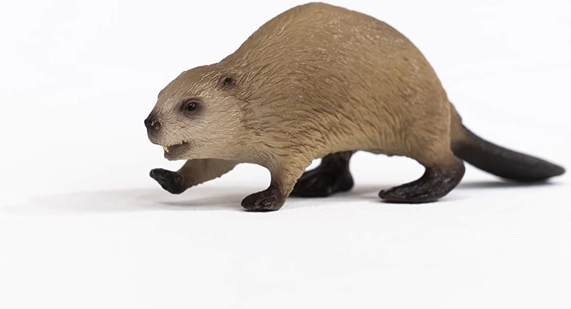 Schleich Toys Schleich 14855 Beaver Figurine - Realistic Wildlife Animal Toy for Kids, 10 x 3 x 3 cm
