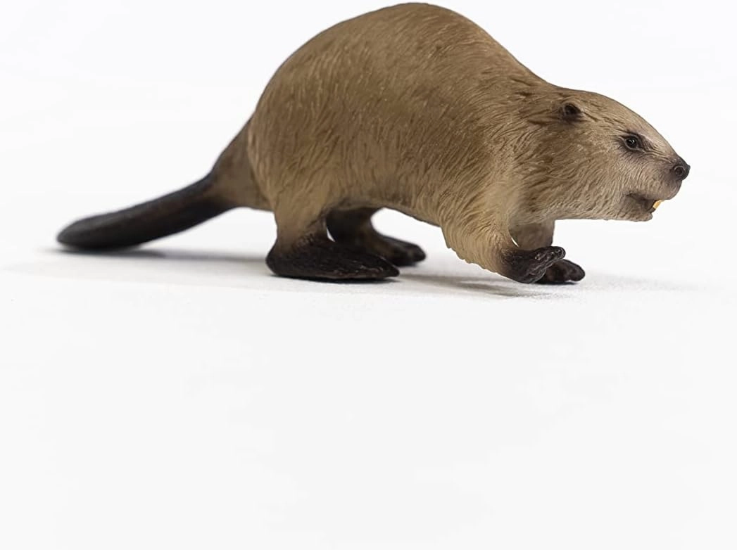 Schleich Toys Schleich 14855 Beaver Figurine - Realistic Wildlife Animal Toy for Kids, 10 x 3 x 3 cm