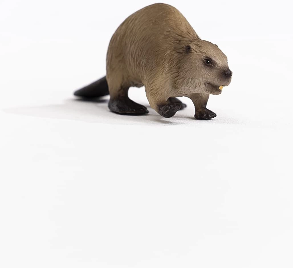 Schleich Toys SCHLEICH 14855 Wild Life Beaver Figurine Multicoloured