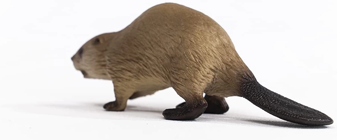 Schleich Toys SCHLEICH 14855 Wild Life Beaver Figurine Multicoloured