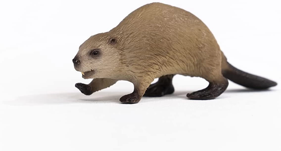 Schleich Toys SCHLEICH 14855 Wild Life Beaver Figurine Multicoloured