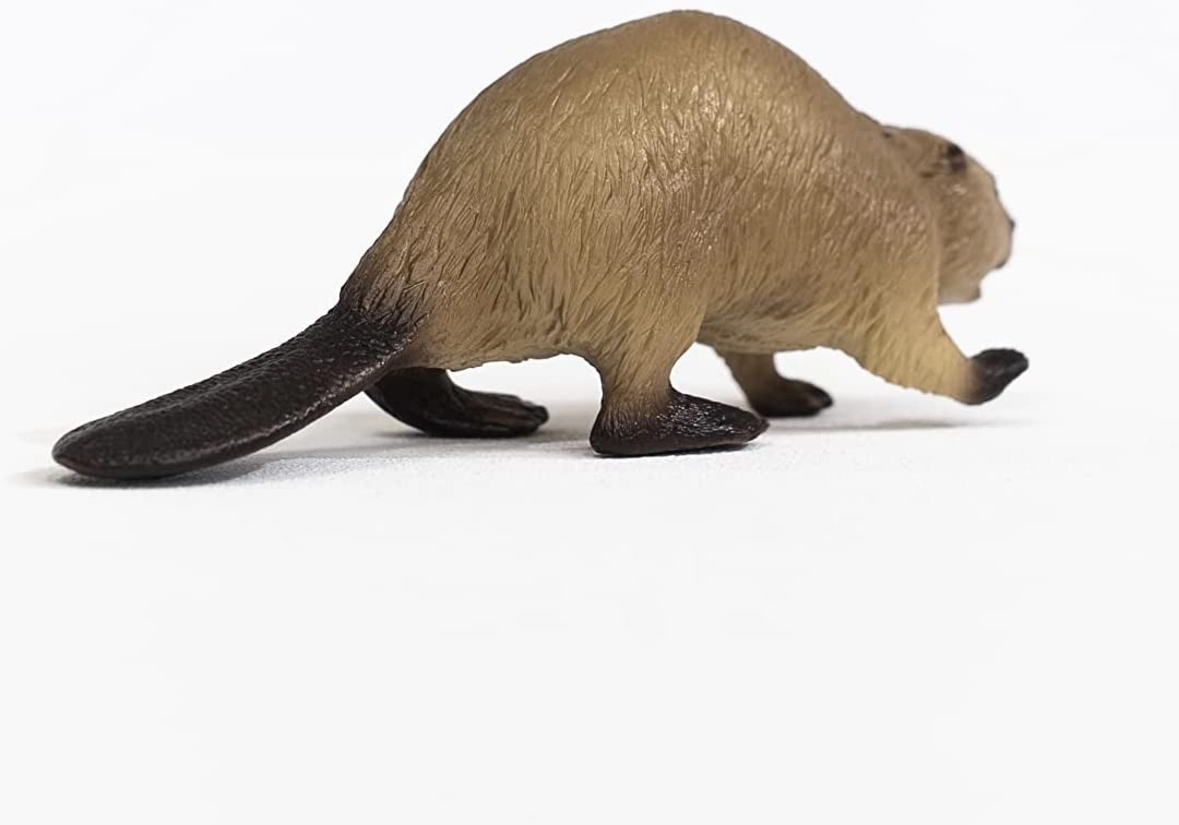 Schleich Toys SCHLEICH 14855 Wild Life Beaver Figurine Multicoloured