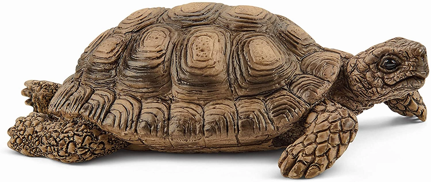 Schleich Toys Schleich 42506 Tortoise Home Wild Life