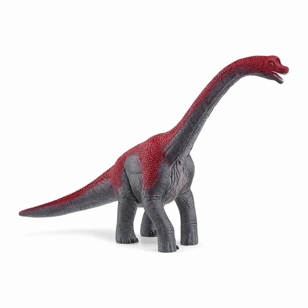 Schleich Toys Schleich Dinosaurs Brachiosaurus Figure