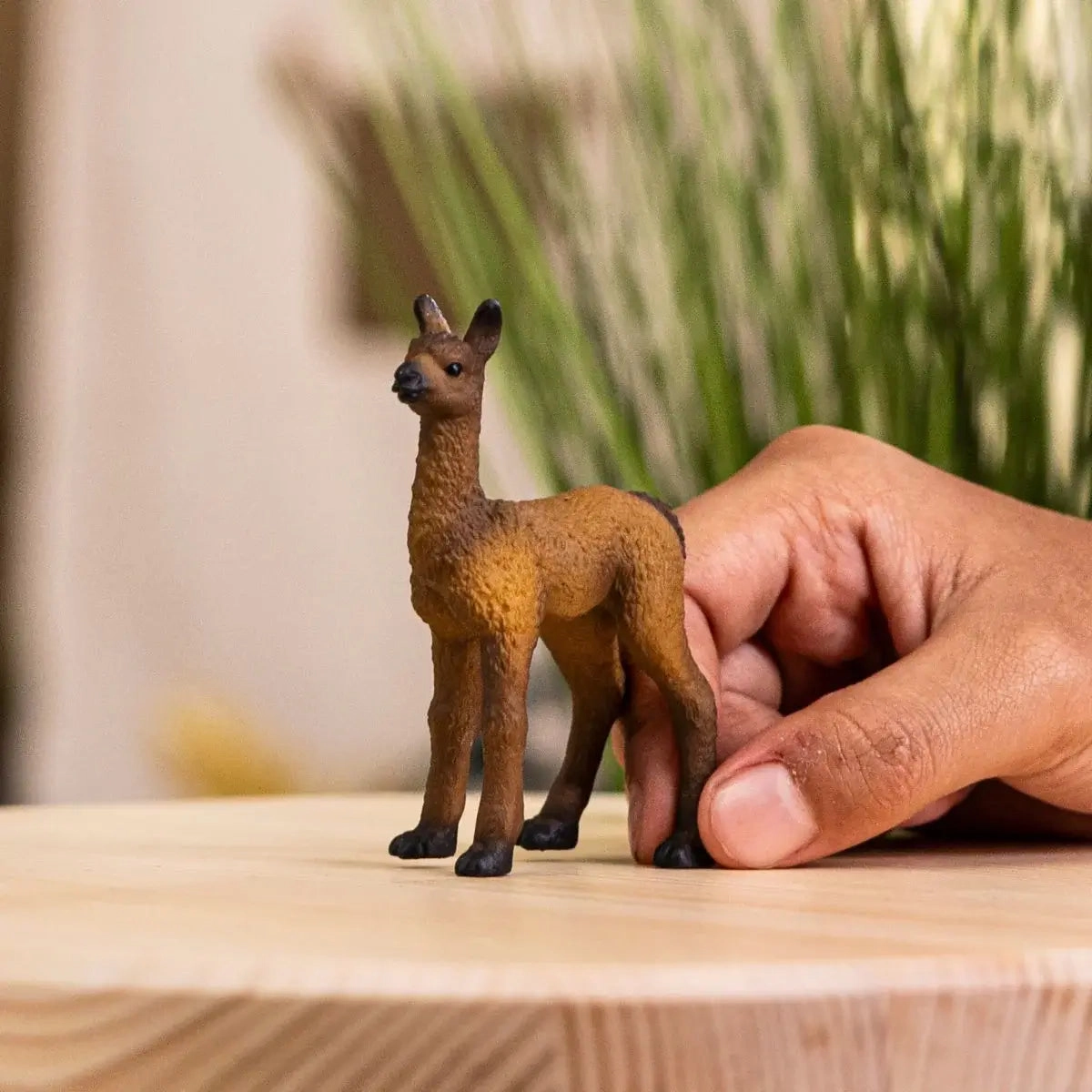 Schleich Toys Schleich Farm World Llama Foal