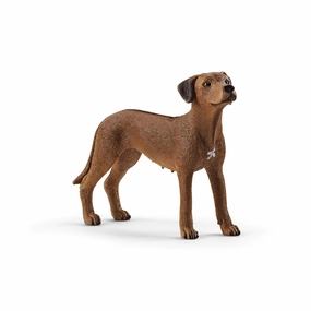 Schleich Toys Schleich Farm World Rhodesian Ridgeback Animal Figure