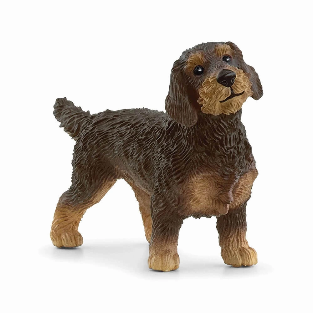 Schleich Toys Schleich Farm World Wire-Haired Dachshund Figure
