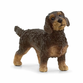 Schleich Toys Schleich Farm World Wire-Haired Dachshund Figure