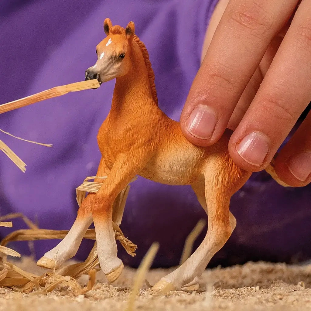 Schleich Toys Schleich Horse Club Arabian Foal Figure