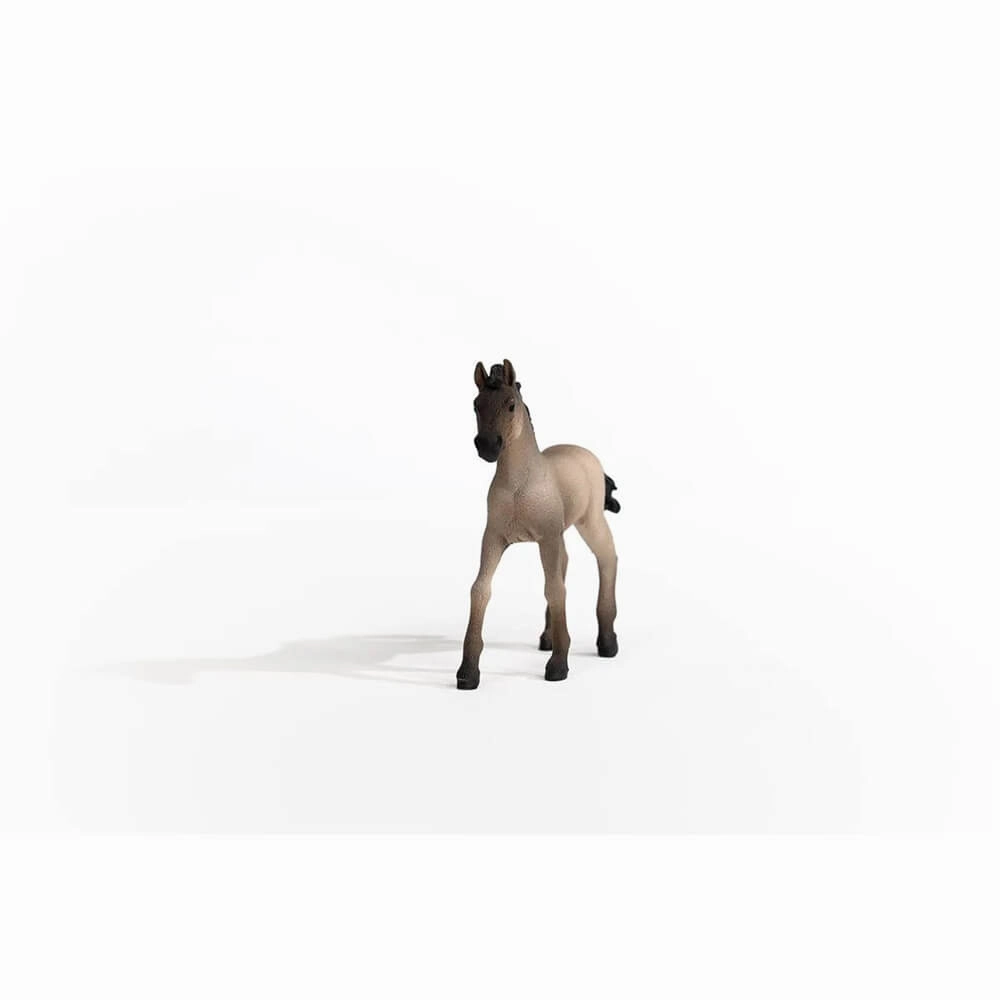 Schleich Toys Schleich Horse Club Criollo Definitivo Foal (13949)