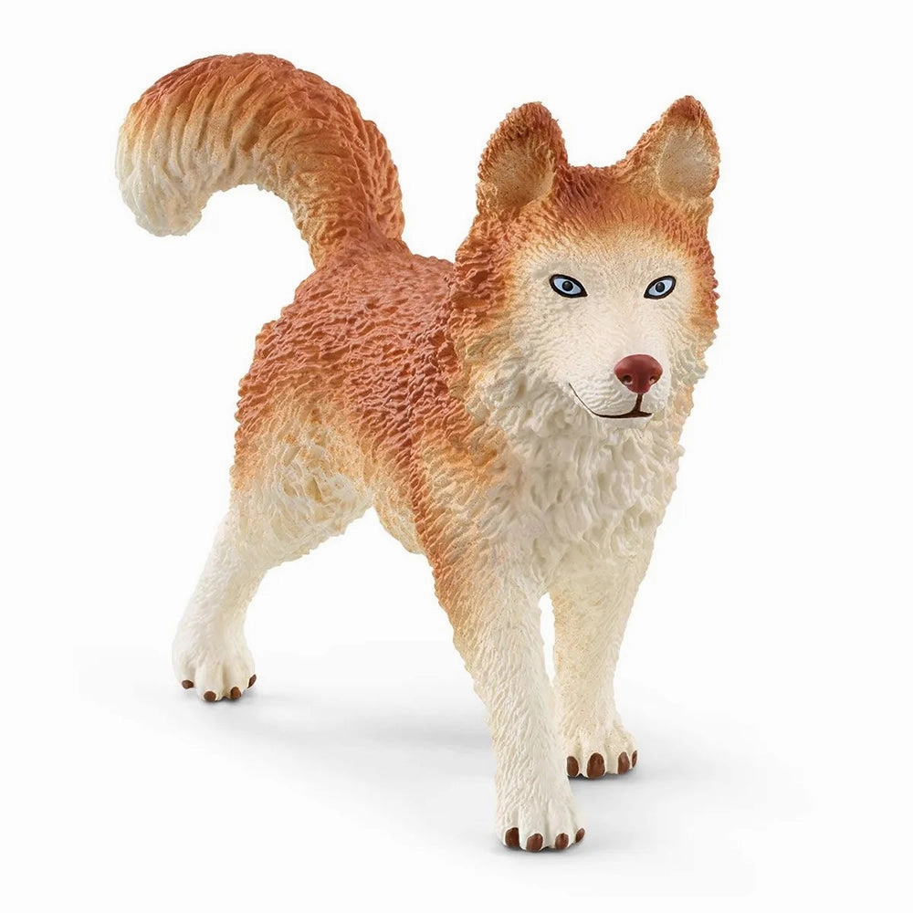 Schleich Toys Schleich Wild Life Antartic Expedition