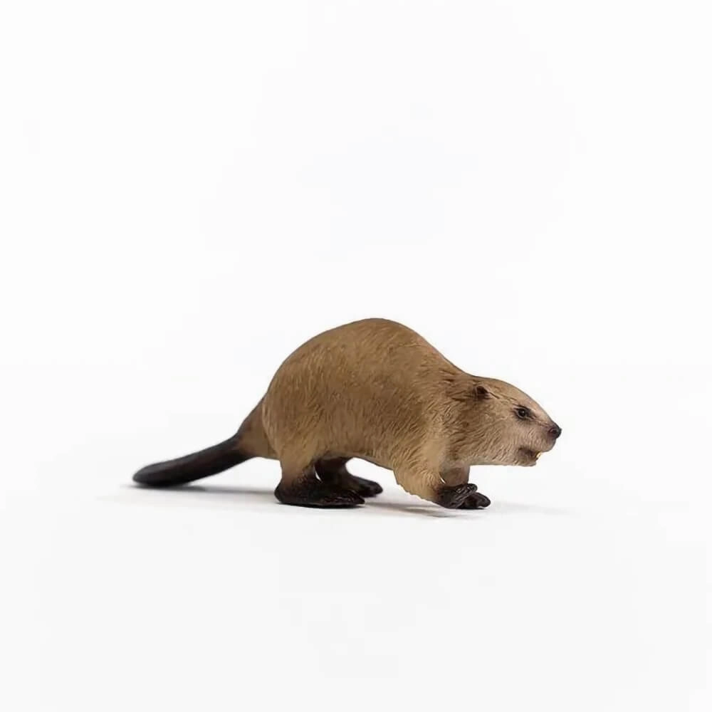 Schleich Toys Schleich Wild Life Beaver Figure