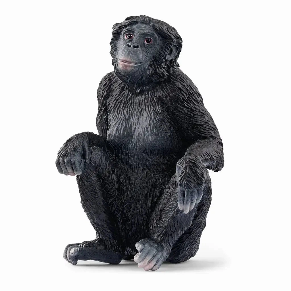 Schleich Toys Schleich Wild Life Bonobo Female Figure