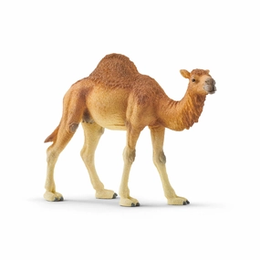 Schleich Toys Schleich Wild Life Dromedary Animal Figure