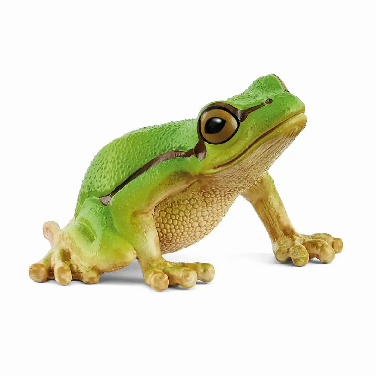 Schleich Toys Schleich Wild Life European Tree Frog