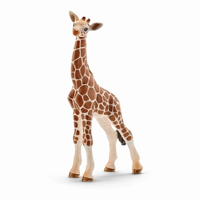 Schleich Toys Schleich Wild Life Giraffe Calf Animal Figure