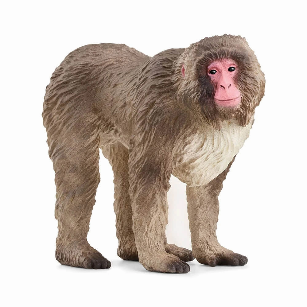 Schleich Toys Schleich Wild Life Japanese Macaque Figure