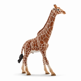Schleich Toys Schleich Wild Life Male Giraffe Animal Figure