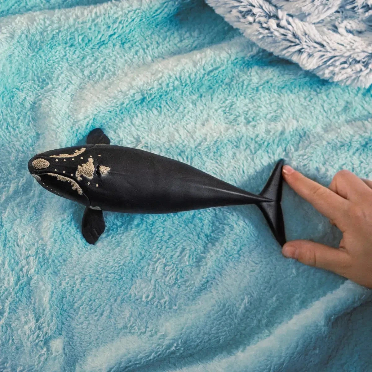 Schleich Toys Schleich Wild Life North Atlantic Right Whale