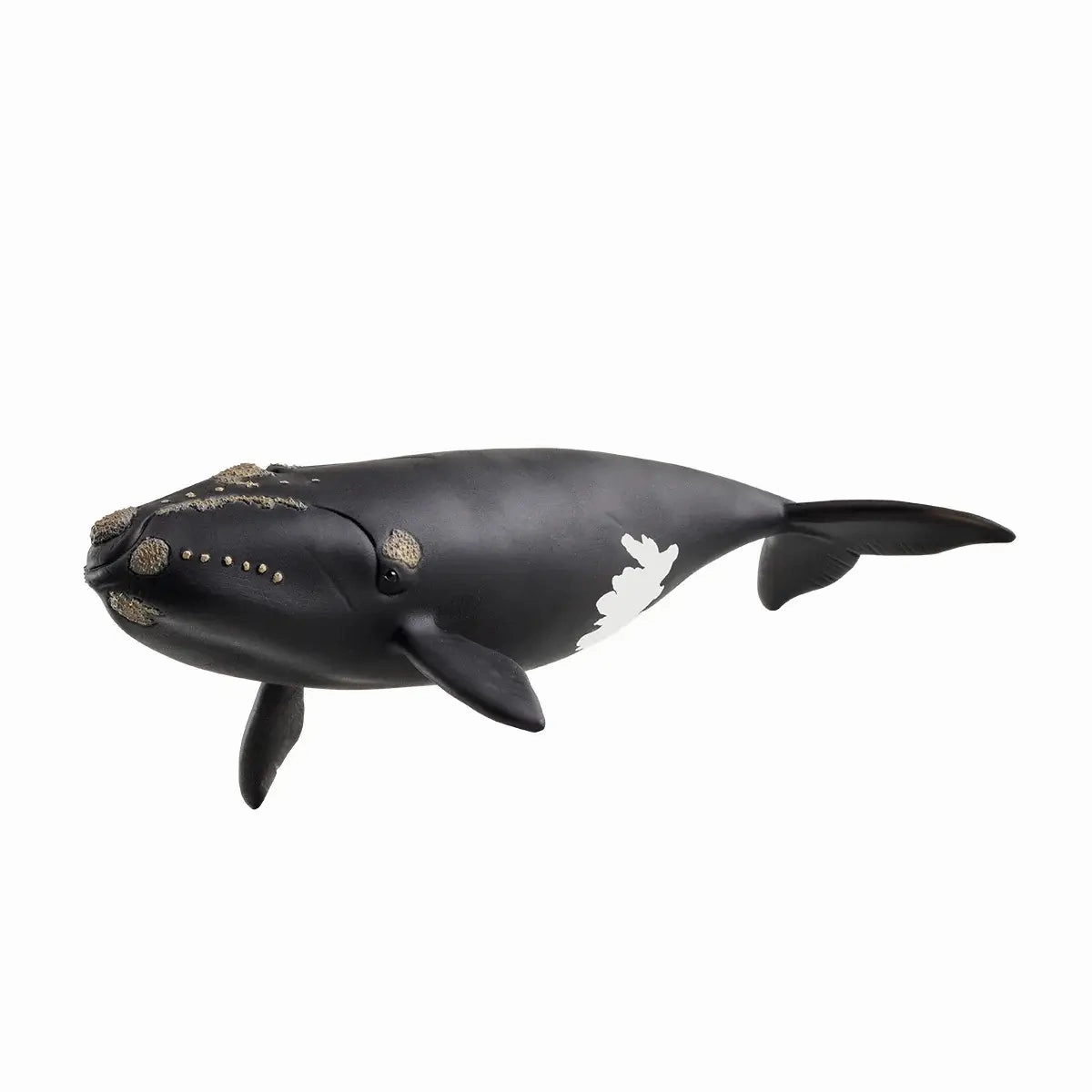 Schleich Toys Schleich Wild Life North Atlantic Right Whale