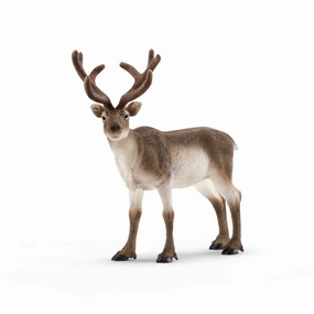 Schleich Toys Schleich Wild Life Reindeer Animal Figure