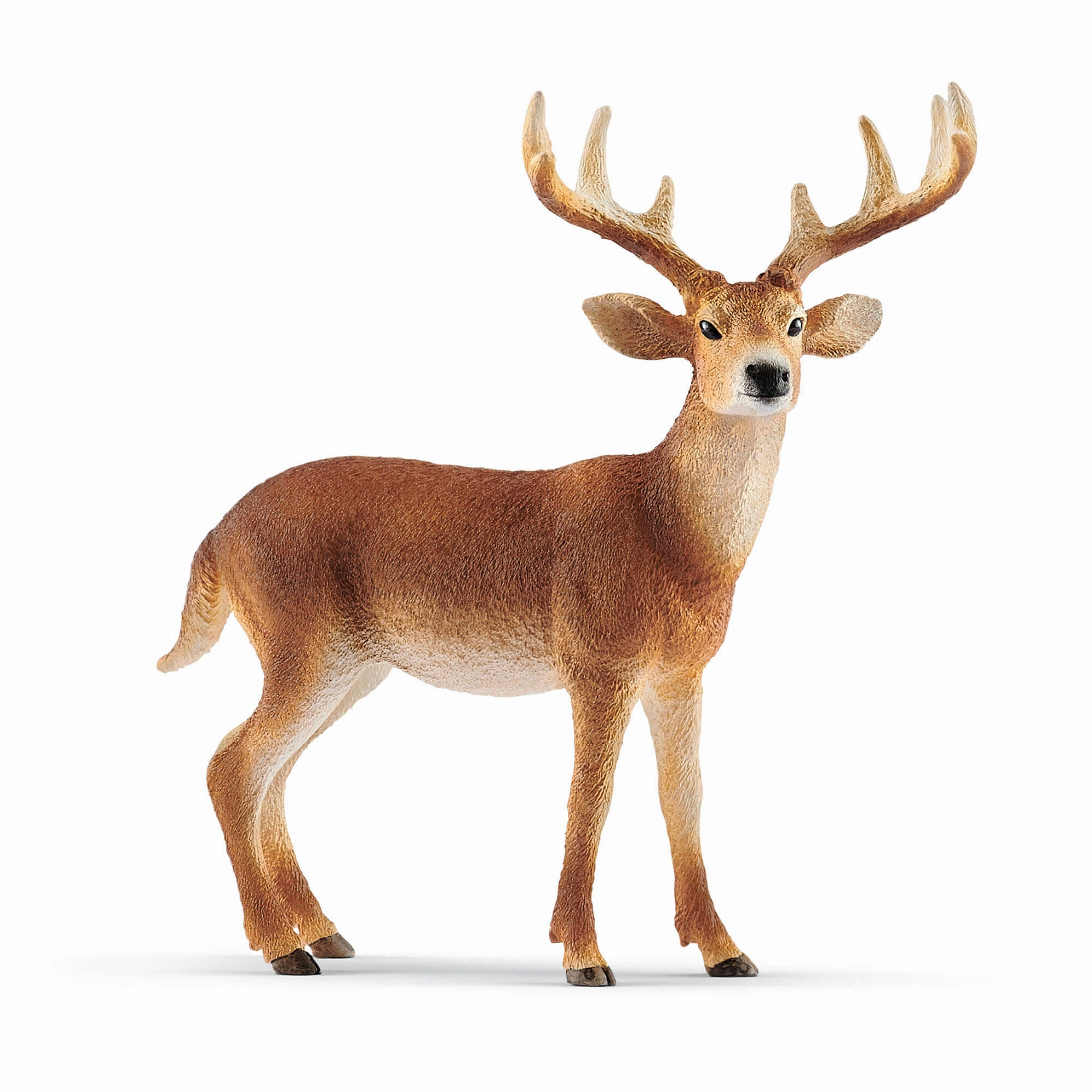 Schleich Toys Schleich Wild Life White-Tailed Buck Animal Figure