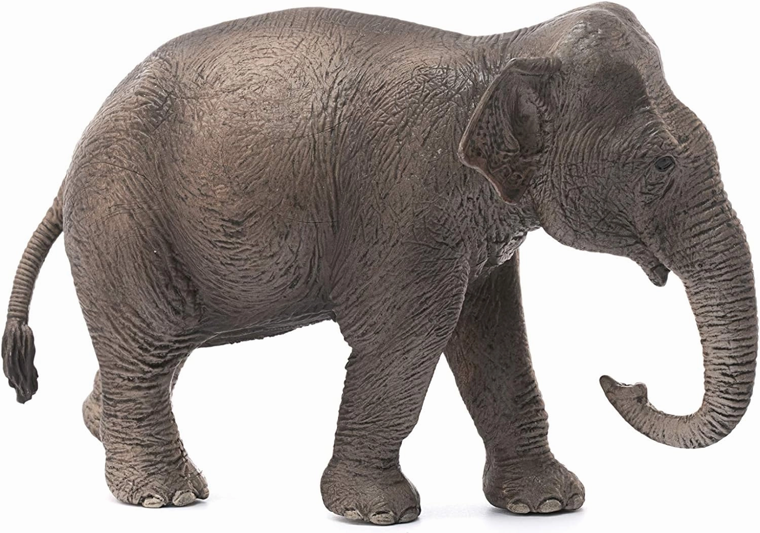 Schleich Toys Schleich Wildlife Asian Elephant - Female Animal Figure (14753)
