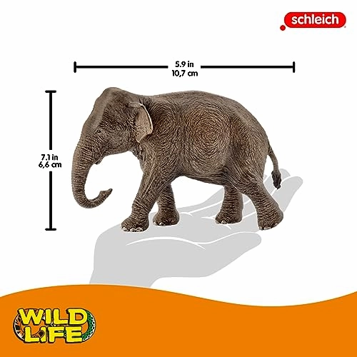 Schleich Toys Schleich Wildlife Asian Elephant - Female Animal Figure (14753)