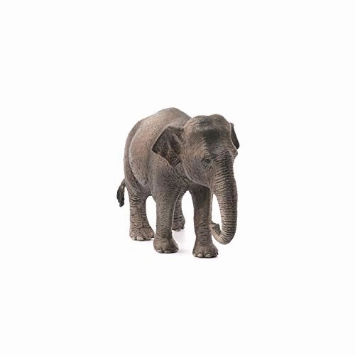 Schleich Toys Schleich Wildlife Asian Elephant - Female Animal Figure (14753)