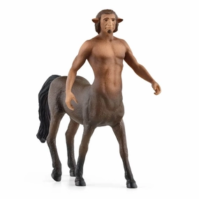 Schleich Toys Schleich Wizarding World of Harry Potter Firenze