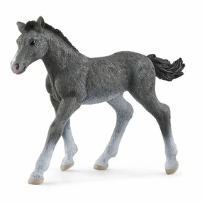 Schleich Toys Trakehner Foal