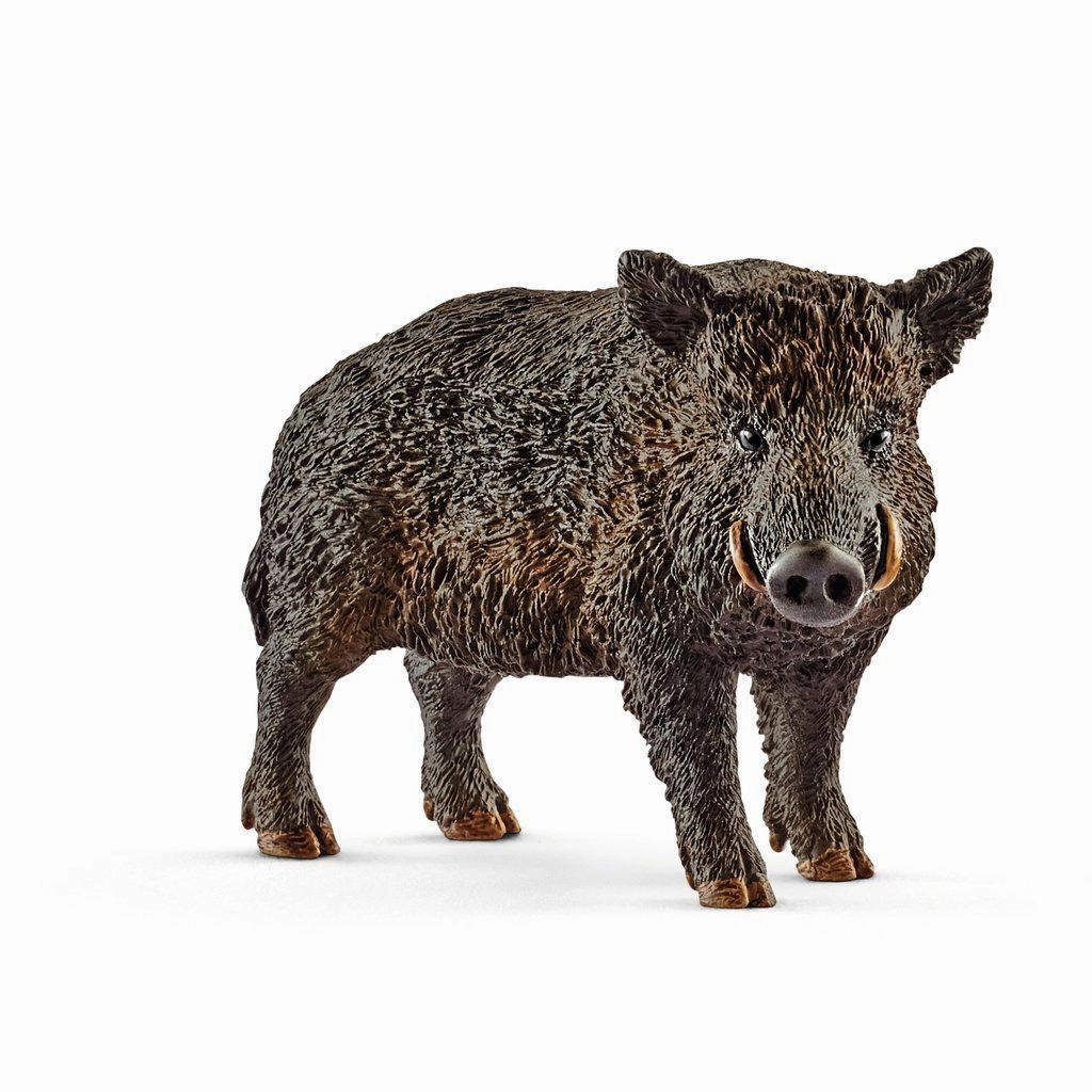 Schleich Toys Wild Boar