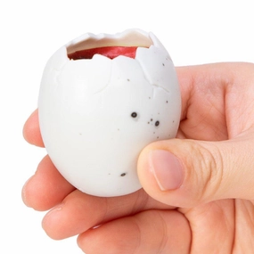 Schylling Toys Schylling Dino Squeezy Peek Hatcher