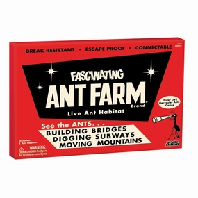 Schylling Toys Uncle Milton Retro Ant Farm
