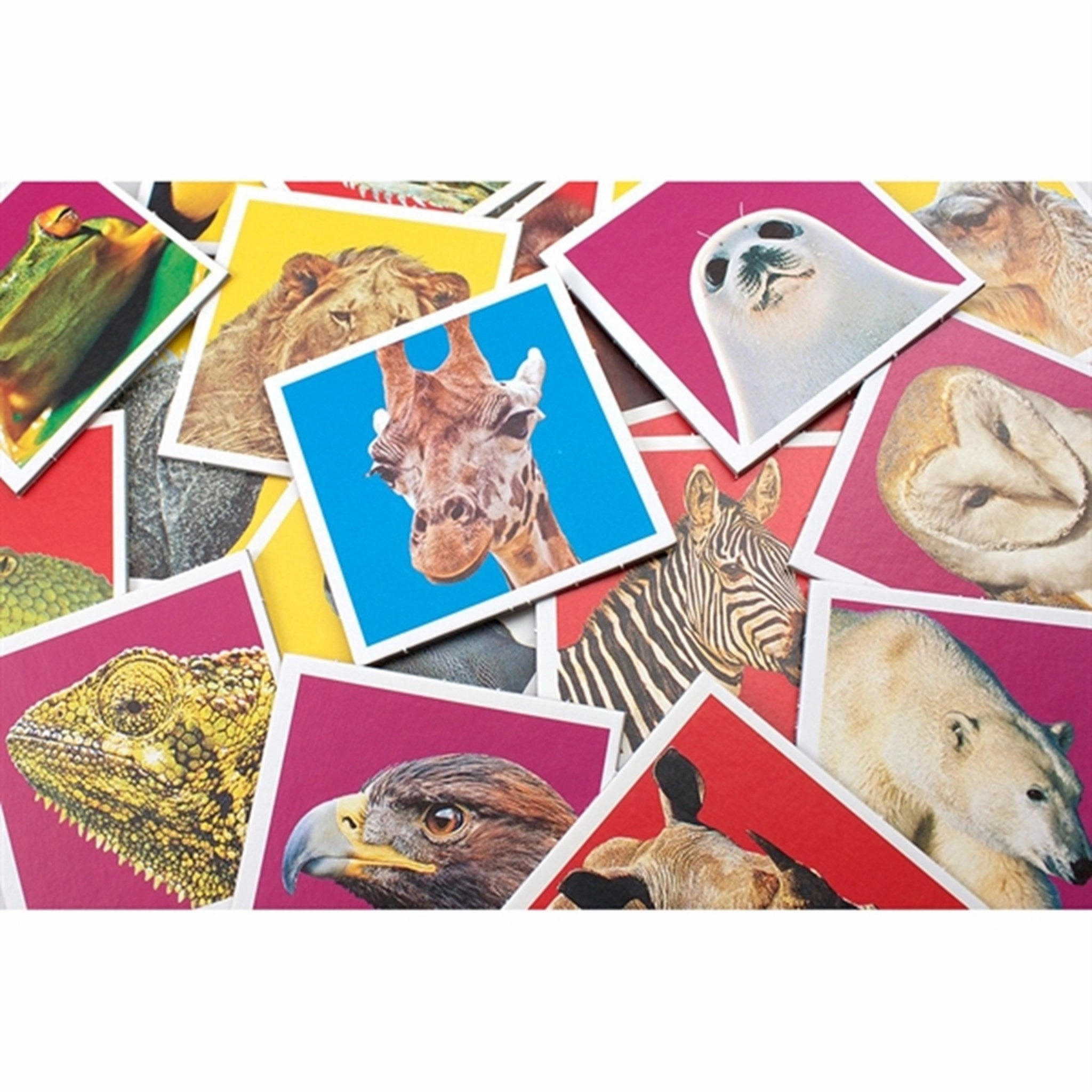Tactic Games Memo Wild Animals