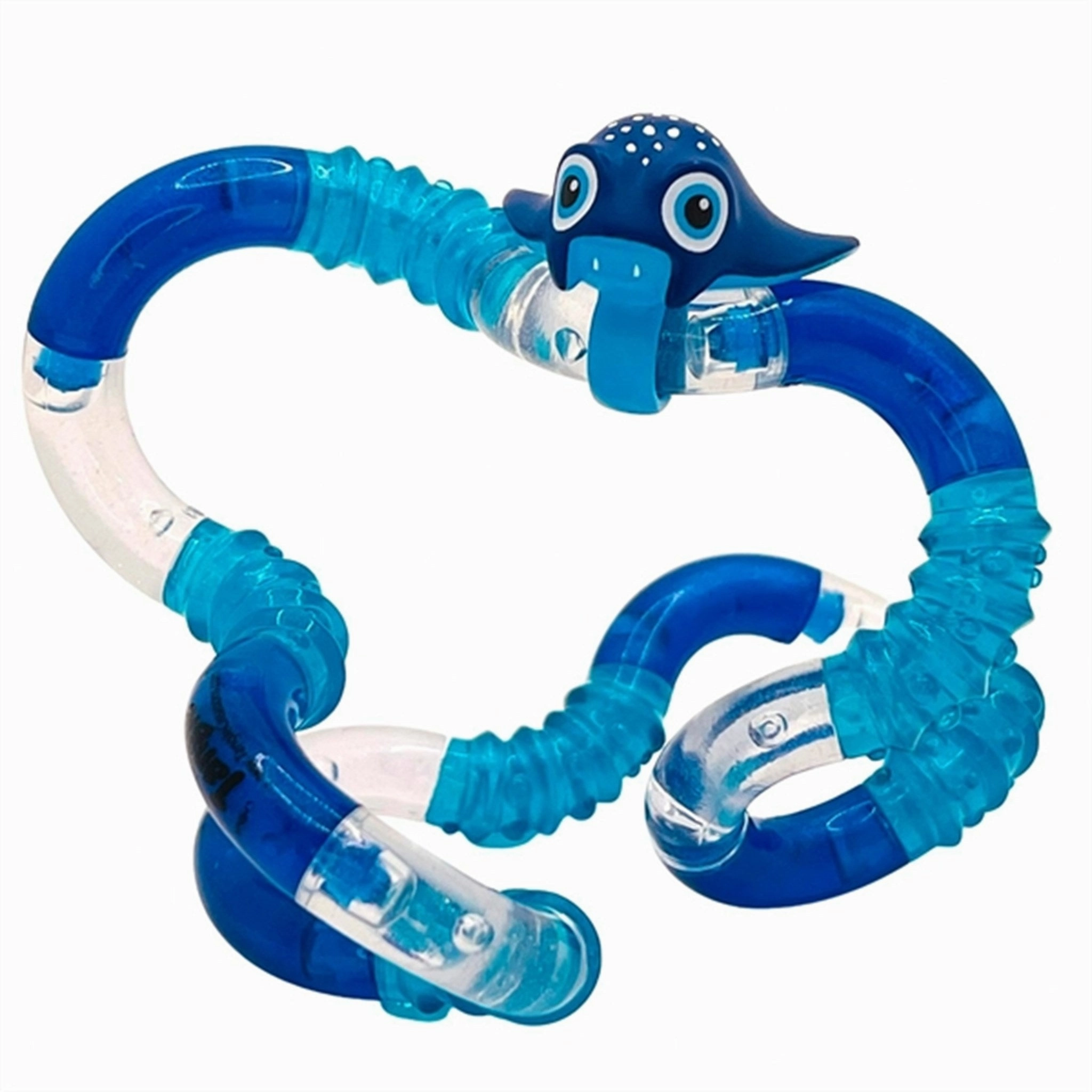 TANGLE Aquatic Pets Stingray