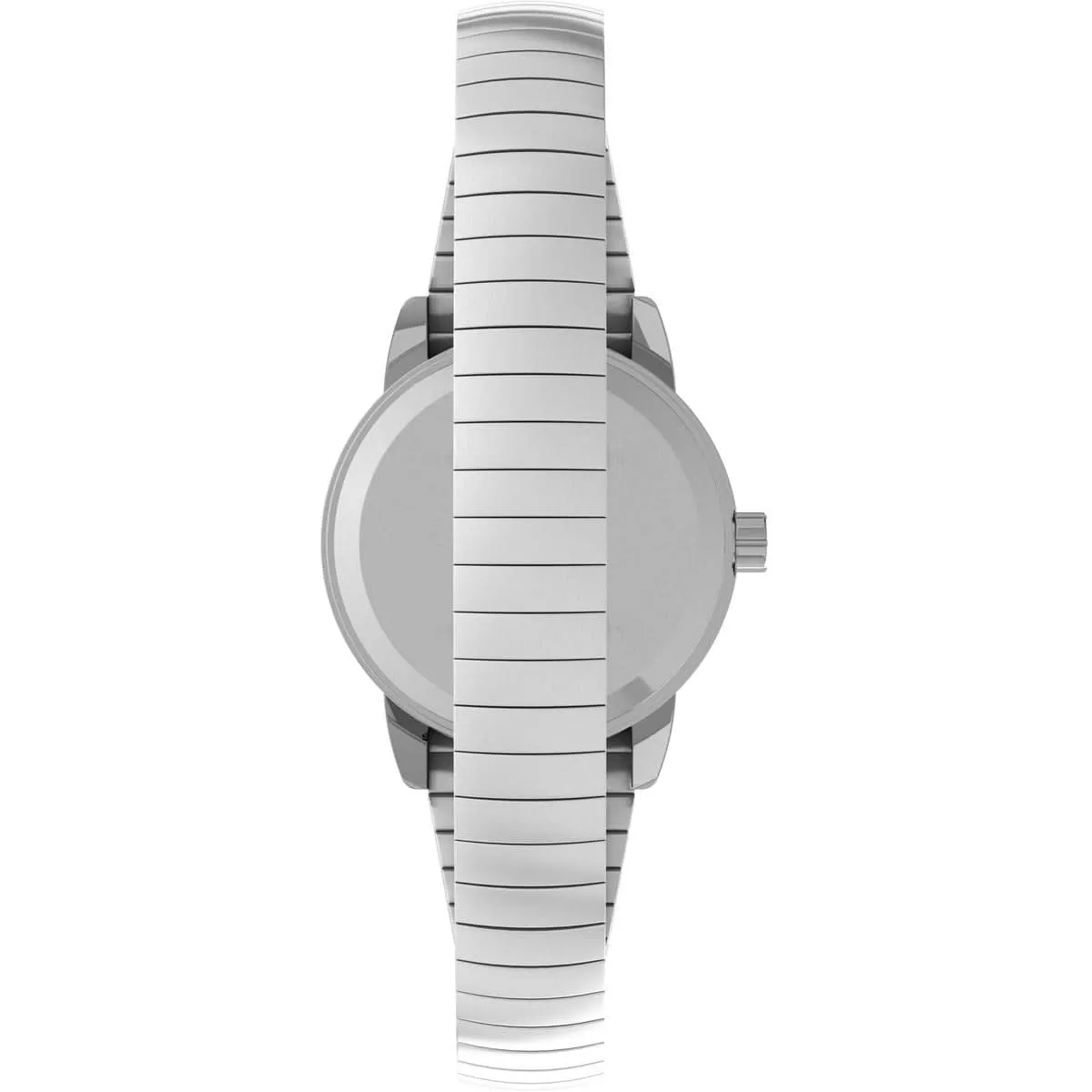 Timex Ladies Easy Reader Silver Watch T2H371